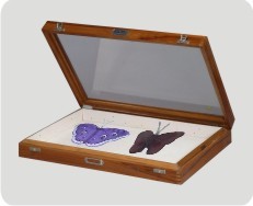 कीट सेटिंग शोकेस ग्रेड: लकड़ी का ब्लॉक