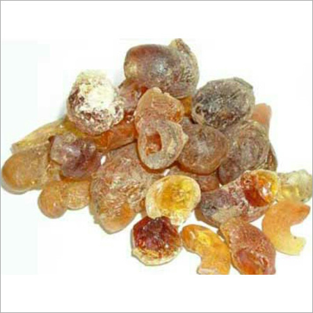 गम अचेसिया