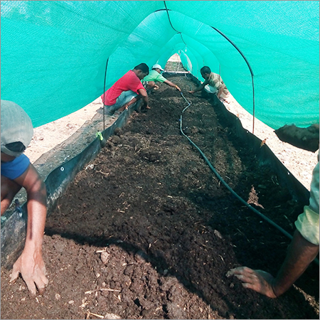 Vermicompost Fertilizer - Dark Brown, 25kg Bags, Moisture Content 40%, Npk Ratio 1-1-1, Organic Matter 90% | Easy Absorption, Nutrient-rich, Eco-friendly, Soil Enrichment