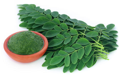 Moringa Leaf Powder Ingredients: Herbs