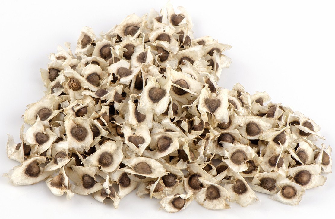 Moringa Leaf Powder Ingredients: Herbs