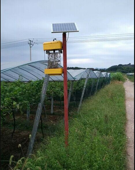 Solar Street Light