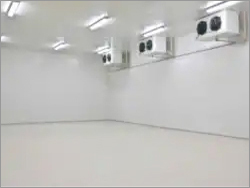 Blast Freezer