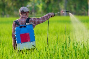 Farm Insecticide