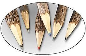 Eco Friendly Pencil