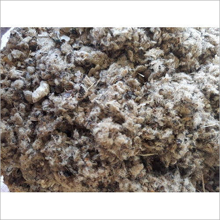 Transaction Cattle Feed