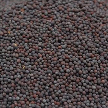 Brown Black Mustard Seeds