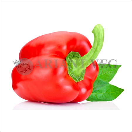 लाल शिमला मिर्च
