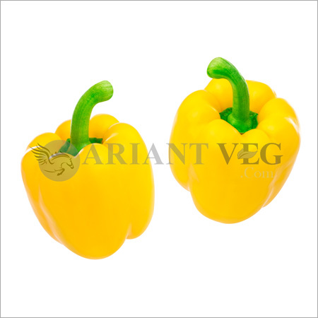 पीला शिमला मिर्च