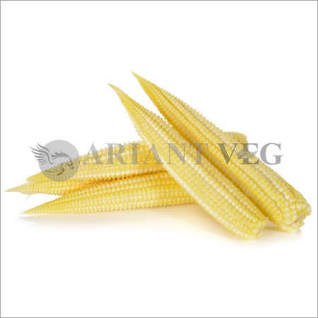 बेबी कॉर्न