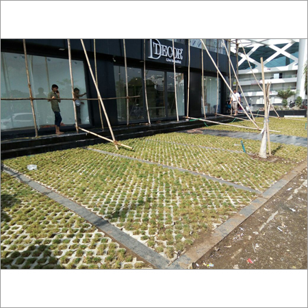 Grass Paver