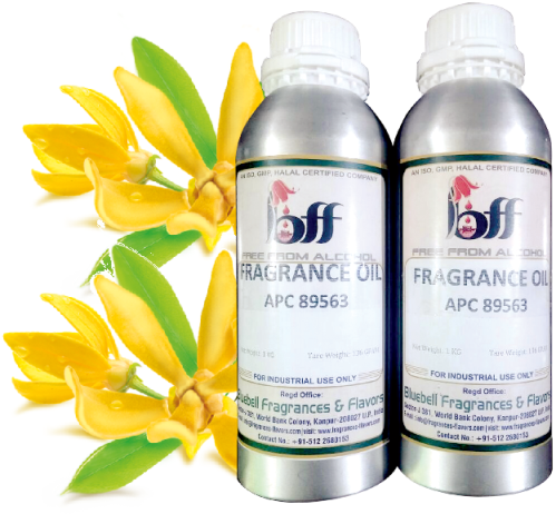 Ylang Ylang Oil