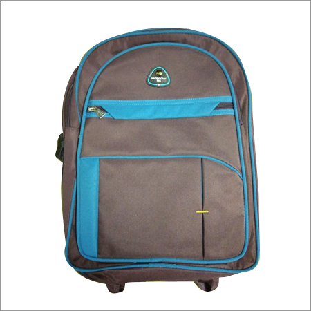 यूनिसेक्स लैपटॉप बैग