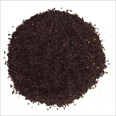 Ocimum Basilicum - Freshly Harvested Herb | Premium Quality, Aromatic Flavor, Culinary Versatility