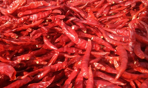 सूखी लाल मिर्च