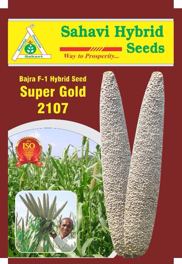 Cream And Green Bajra Seeds