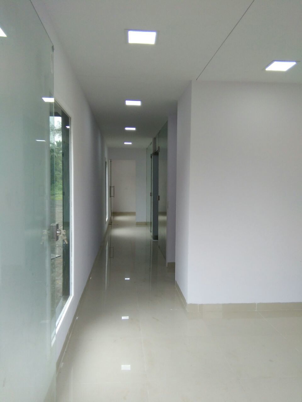 Semi Luxurious Office