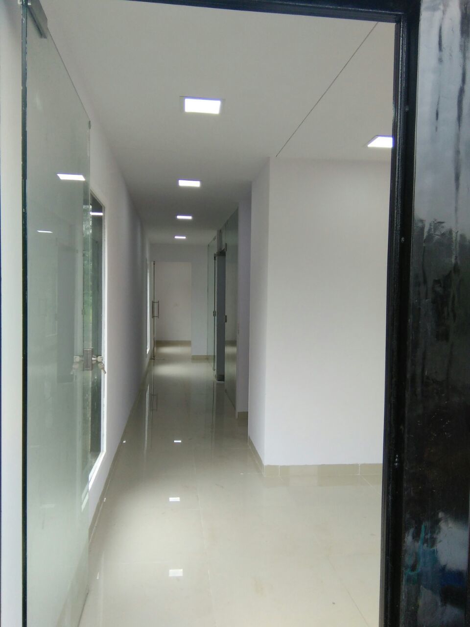 Semi Luxurious Office