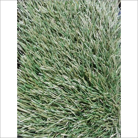 Artificial Grass