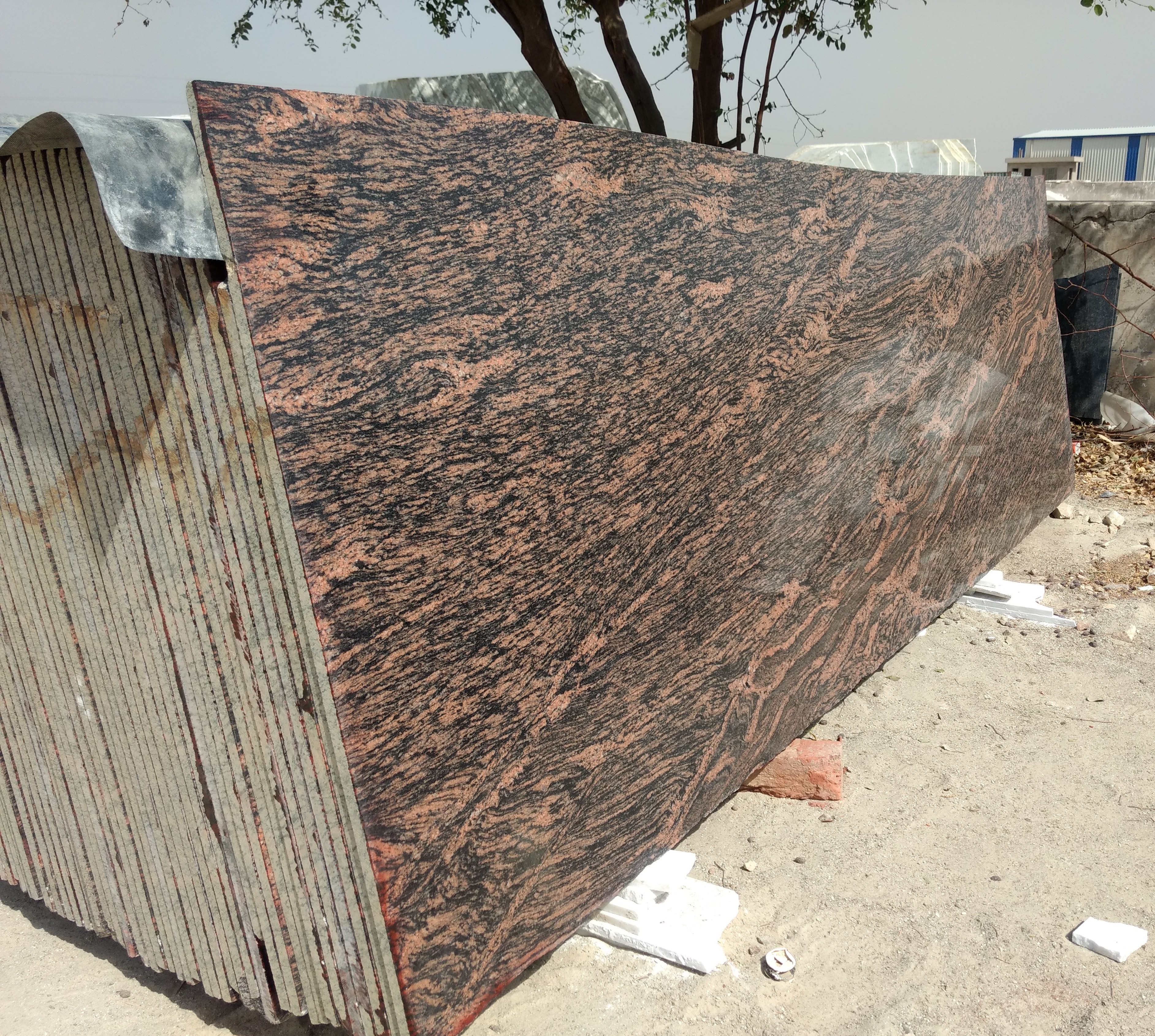 Tiger Skin Granite