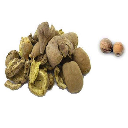 बहेड़ा बीज