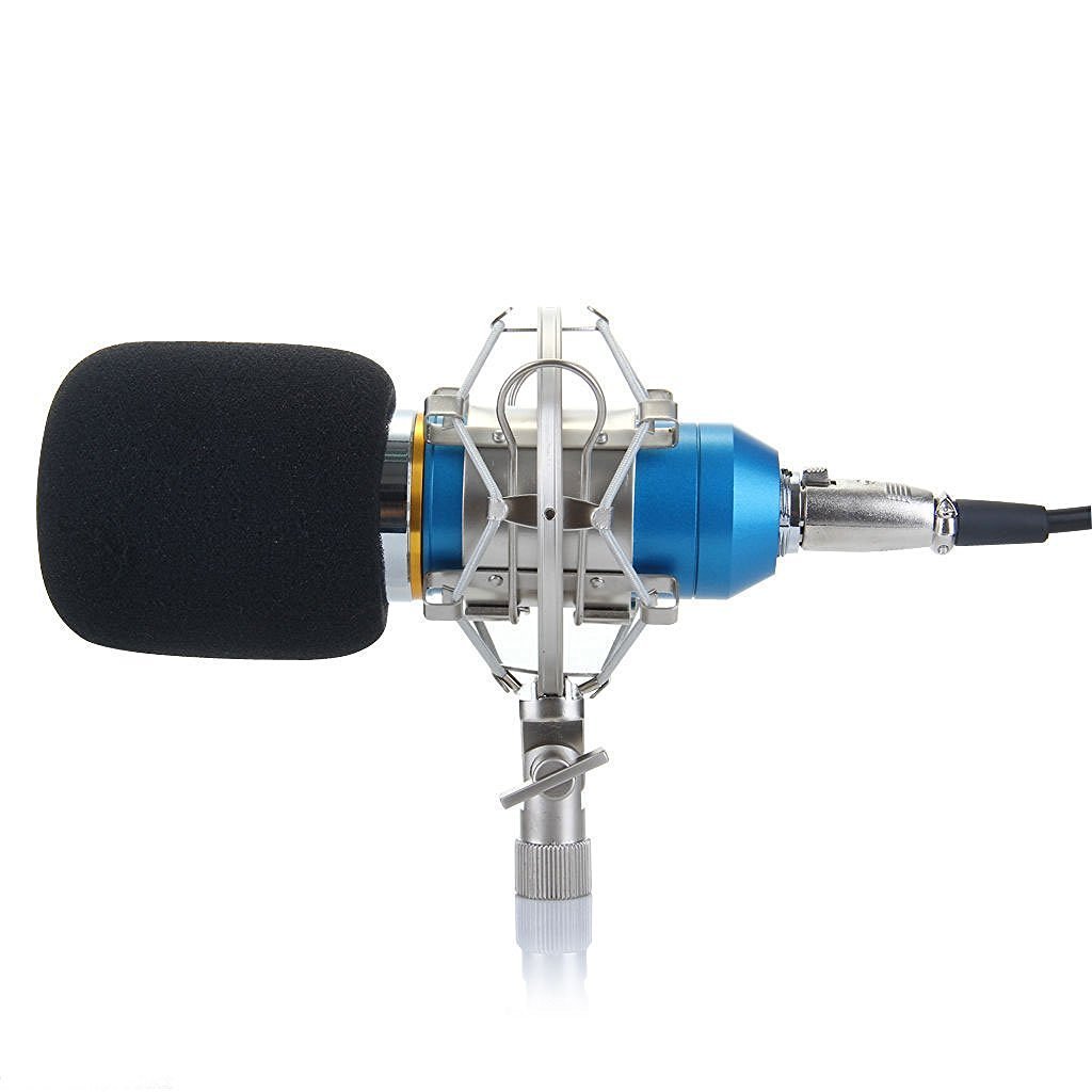 Microphone