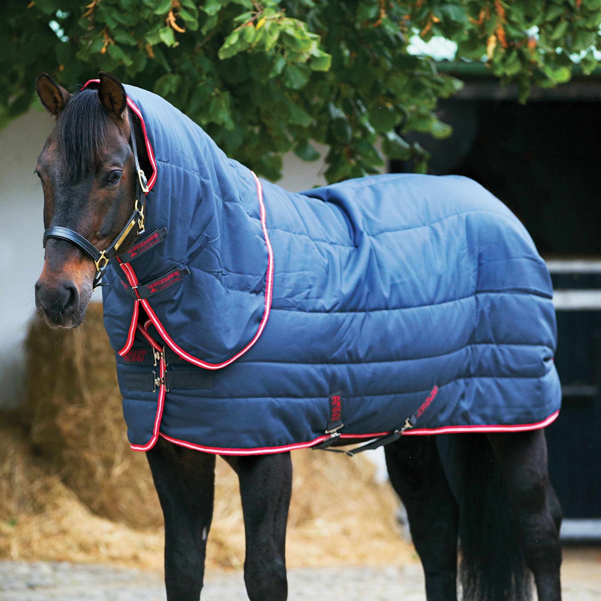 All Colors Availabe Horse Stable Rugs