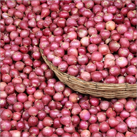 Fresh Red Onion Moisture (%): 85 %