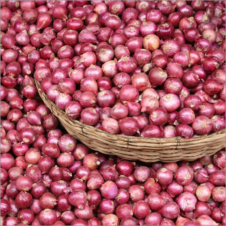 Fresh Onion Moisture (%): 80%