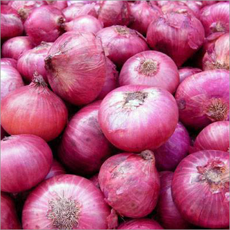 Fresh Onion Moisture (%): 80%