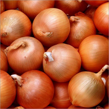 Fresh Yellow Onion Moisture (%): 80 %