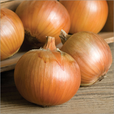Fresh Yellow Onion Moisture (%): 80 %