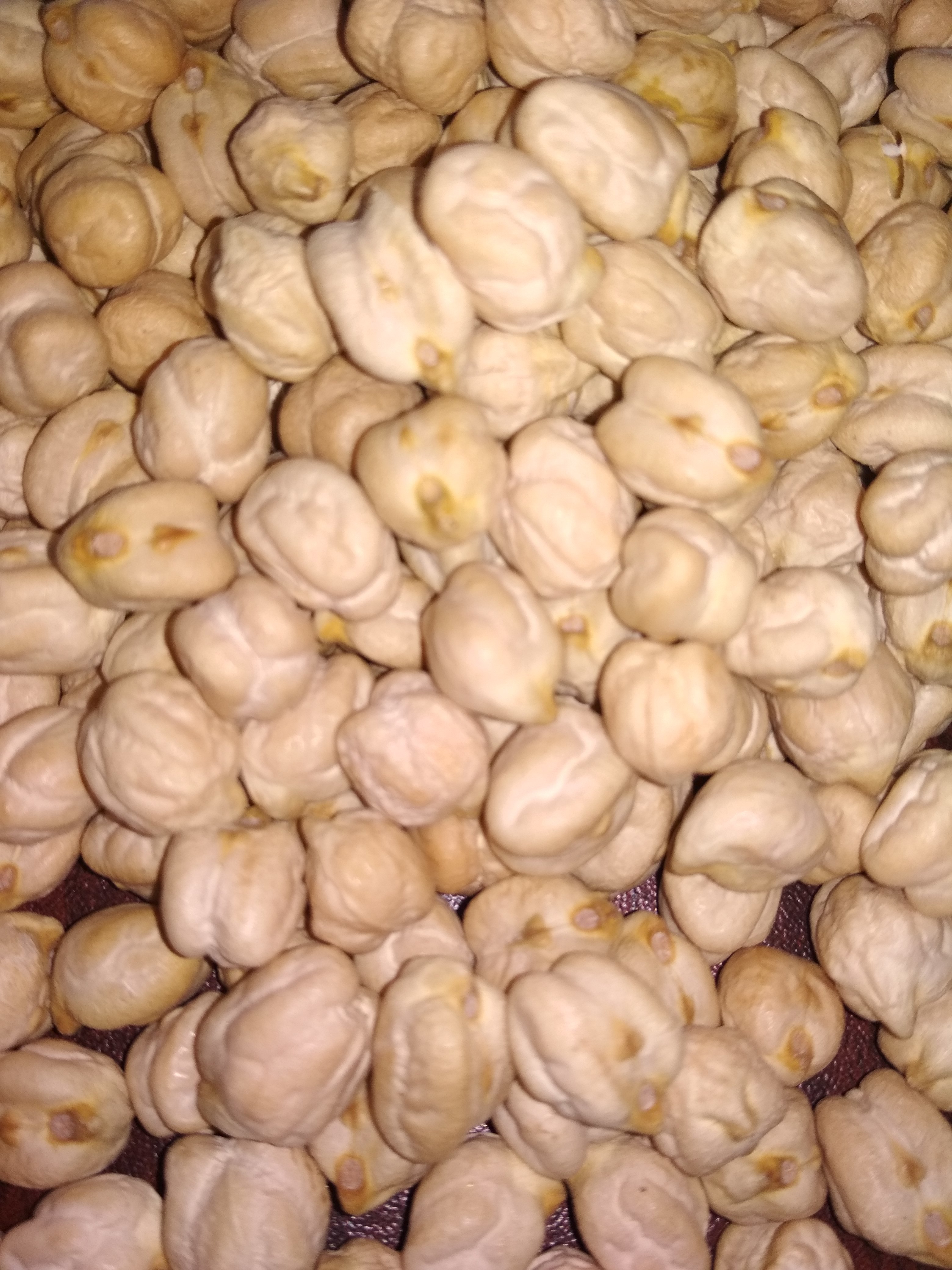 Whole Chickpeas