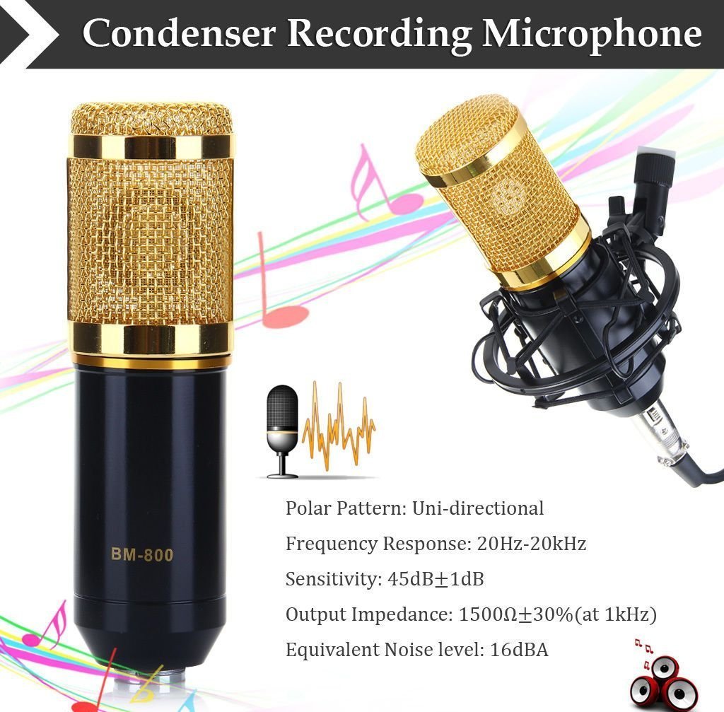 Microphone For Voice Recording