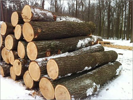 Pyinkado Round Logs