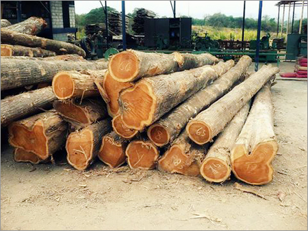 Teak Hardwood Logs