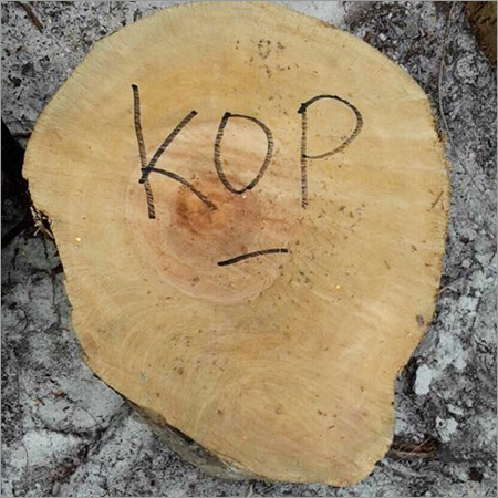 Timber Wood Logs