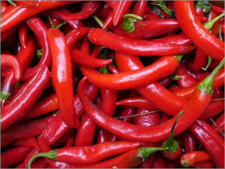Red Chili Peppers