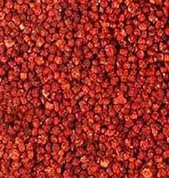 ग्लोरियोसा सुपरबा बीज