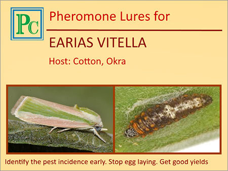 Earias Vitella Pheromone Lures