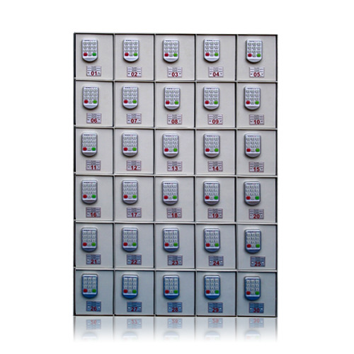 निकेल प्लेटिंग 30 लॉकर्स (P-12D)