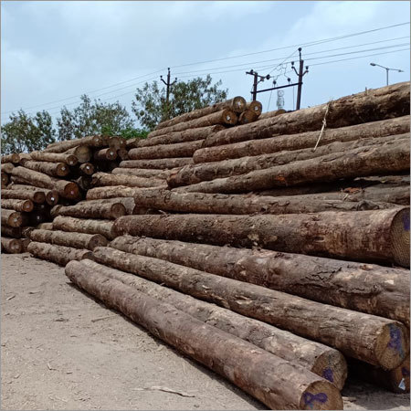 Meranti Logs Core Material: Wooden