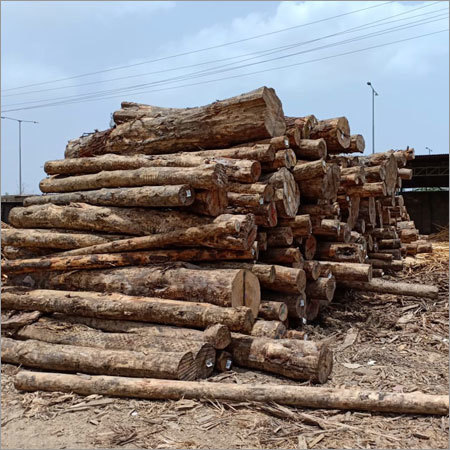 Meranti Logs Core Material: Wooden