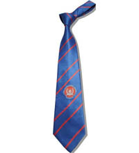 Brown And Maroon Promotional Single Logo Ties