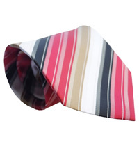 Multicolor Promotional Ties
