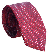 Multicolor Promotional Ties