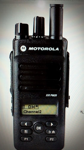 MOTOROLA XIR P6620