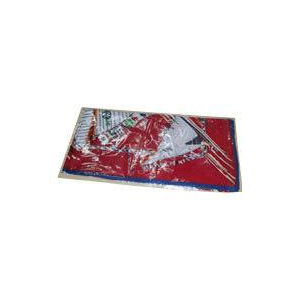 Silk Promotional Scarves - 170x50 cm | Multicolor Printed Design for Summer Fashion