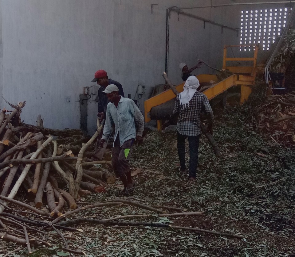 Wood Powder Base Biomass Briquettes