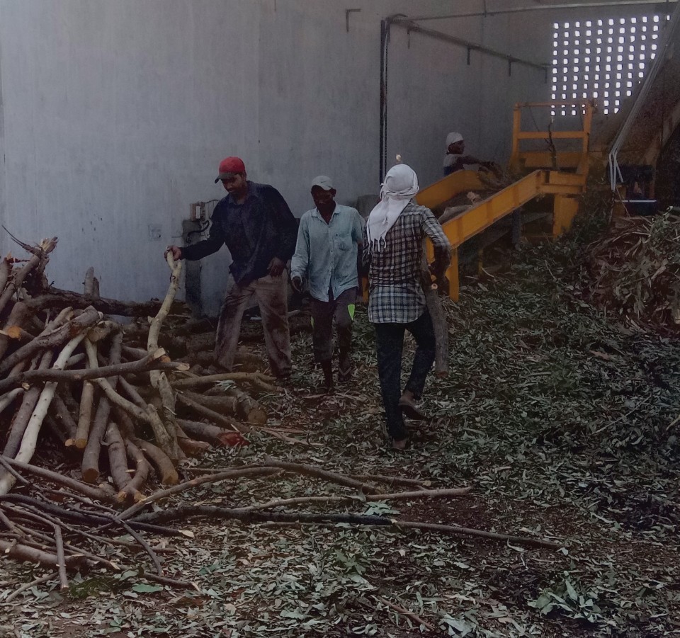 Wood Powder Base Biomass Briquettes